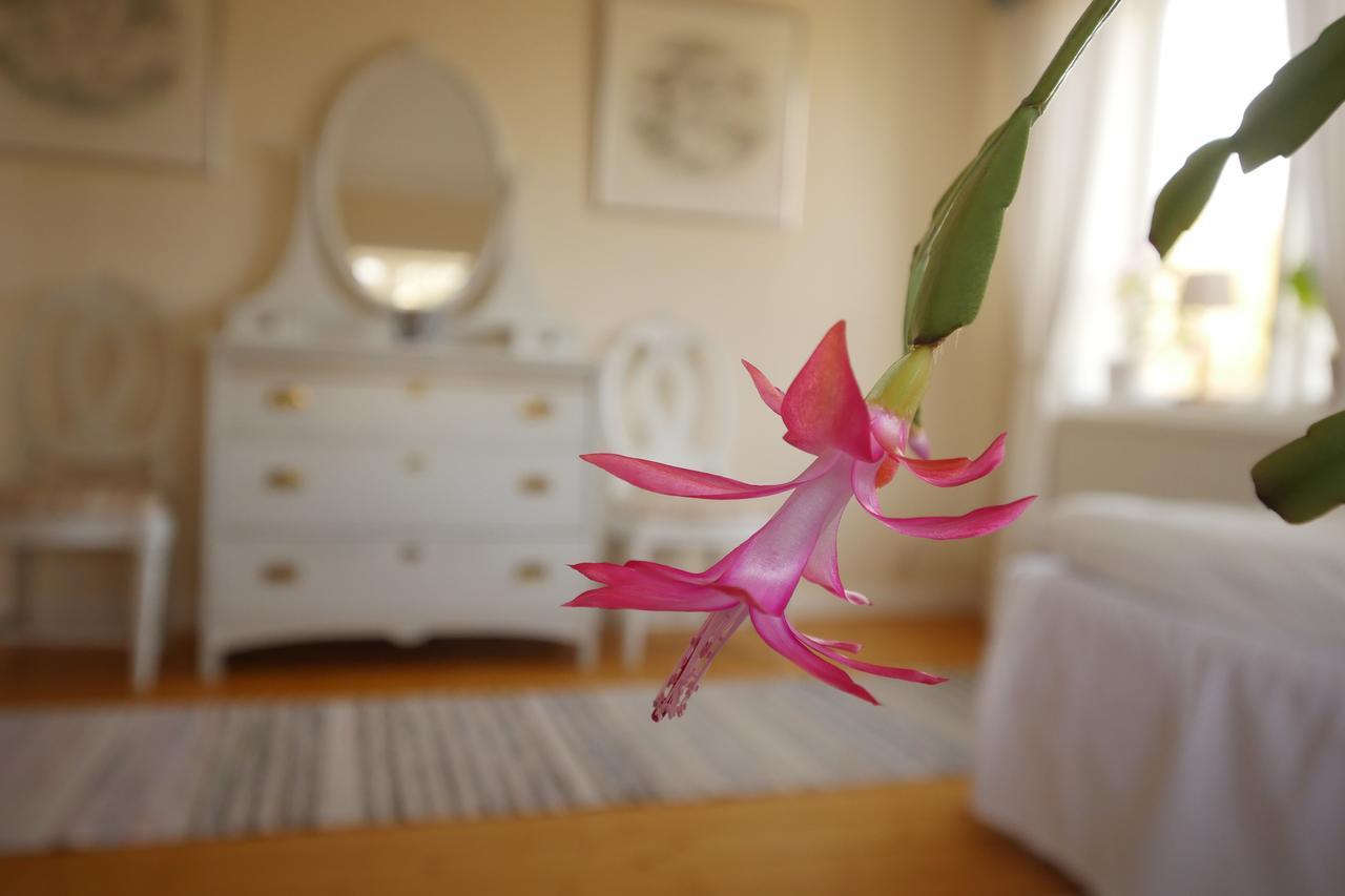 Bed and Breakfast Groena Anaes ostra Loa Zewnętrze zdjęcie