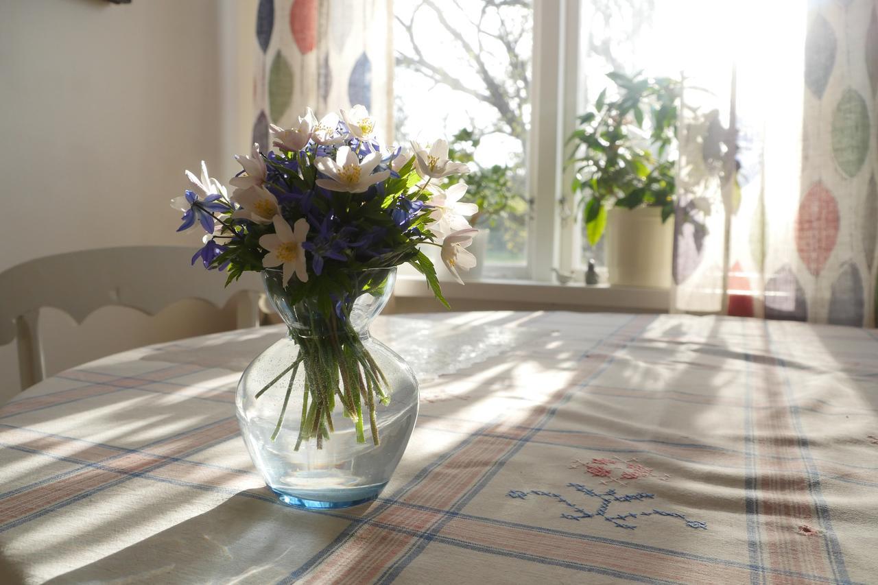 Bed and Breakfast Groena Anaes ostra Loa Zewnętrze zdjęcie